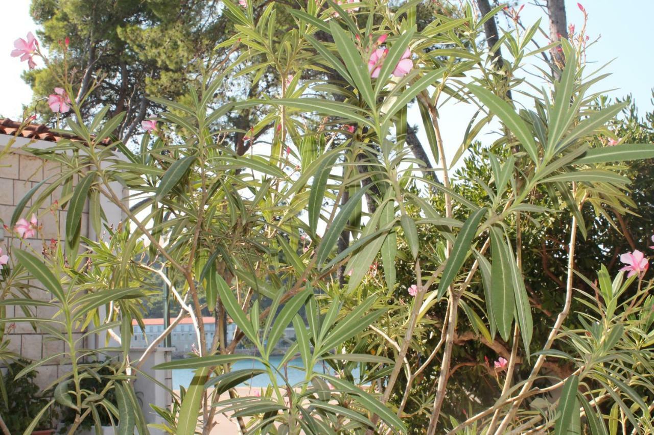דירות ילסה Covahouse מראה חיצוני תמונה